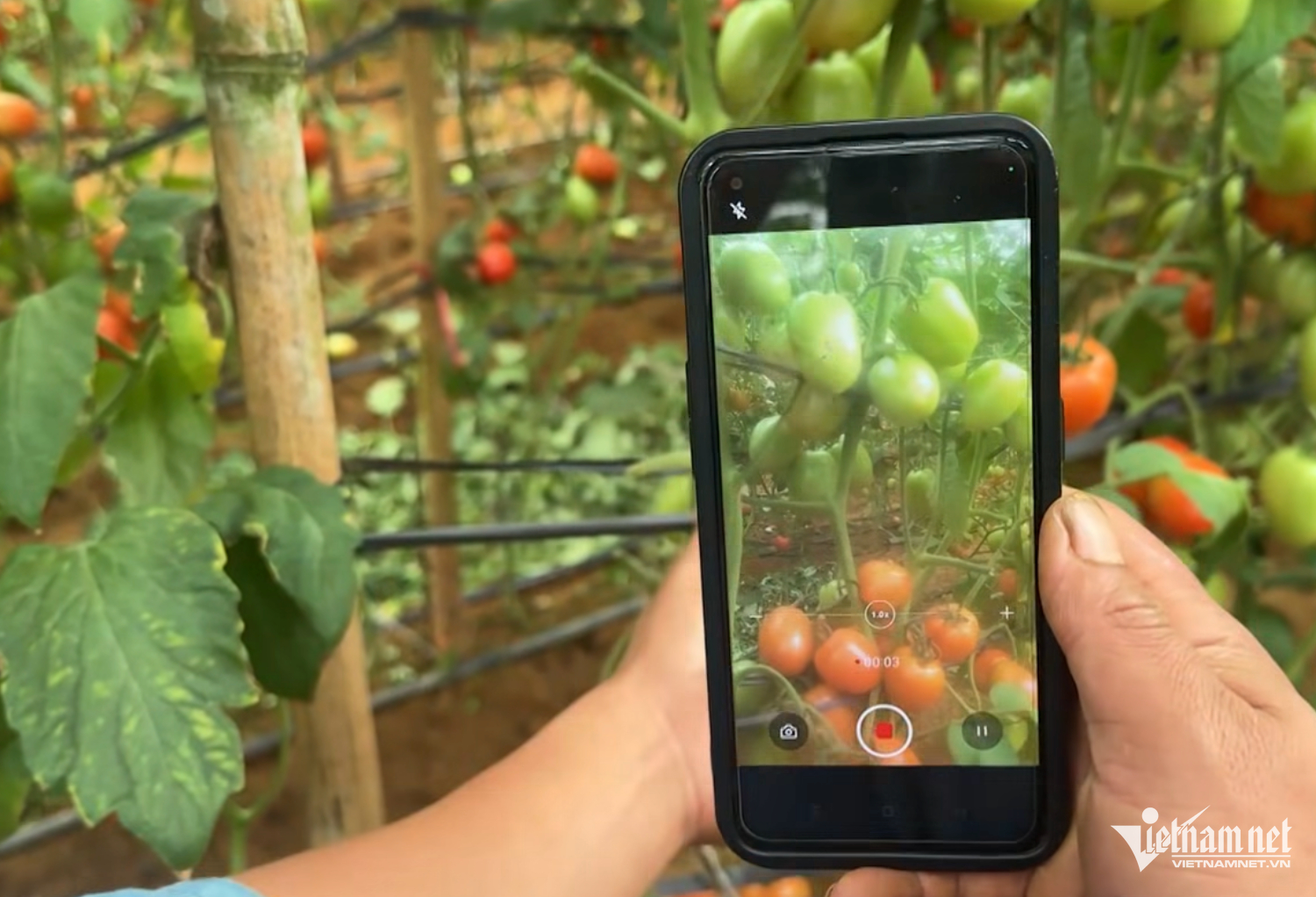 W-nông sản công nghệ.png