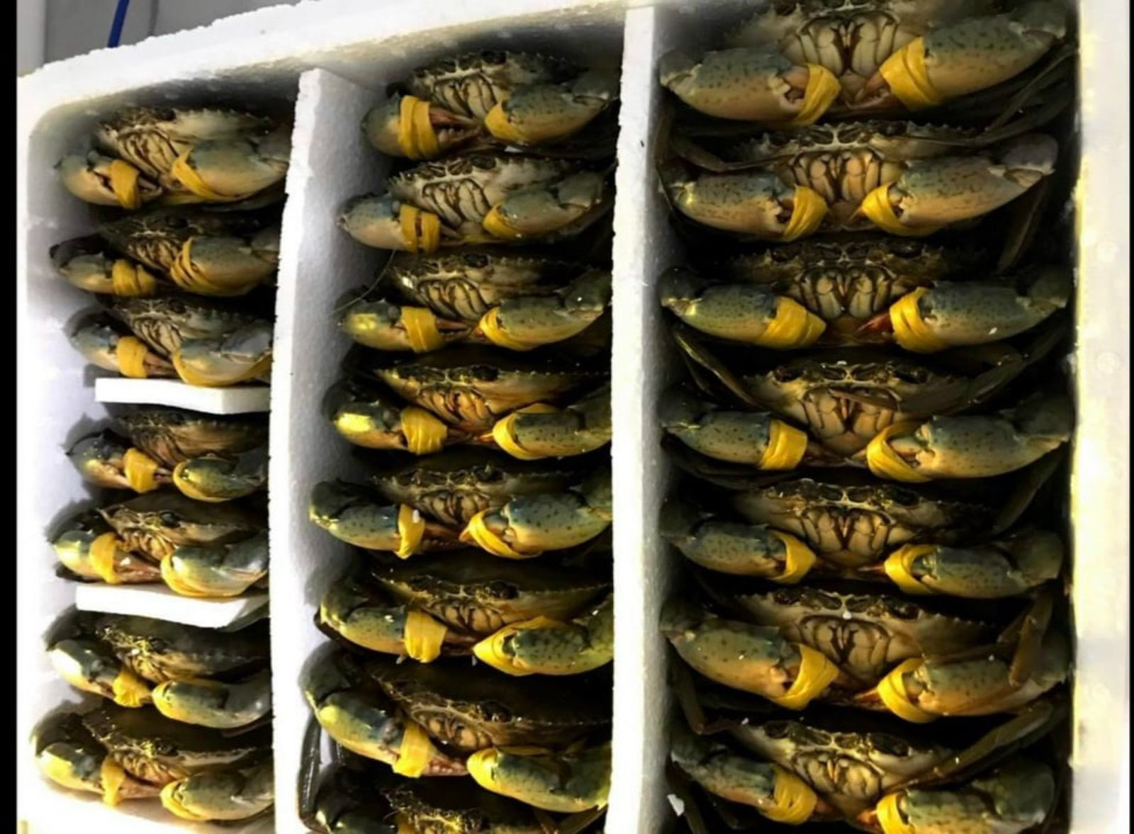 37bc5926 33f3 4b48 97d4 3889be868298.jpg