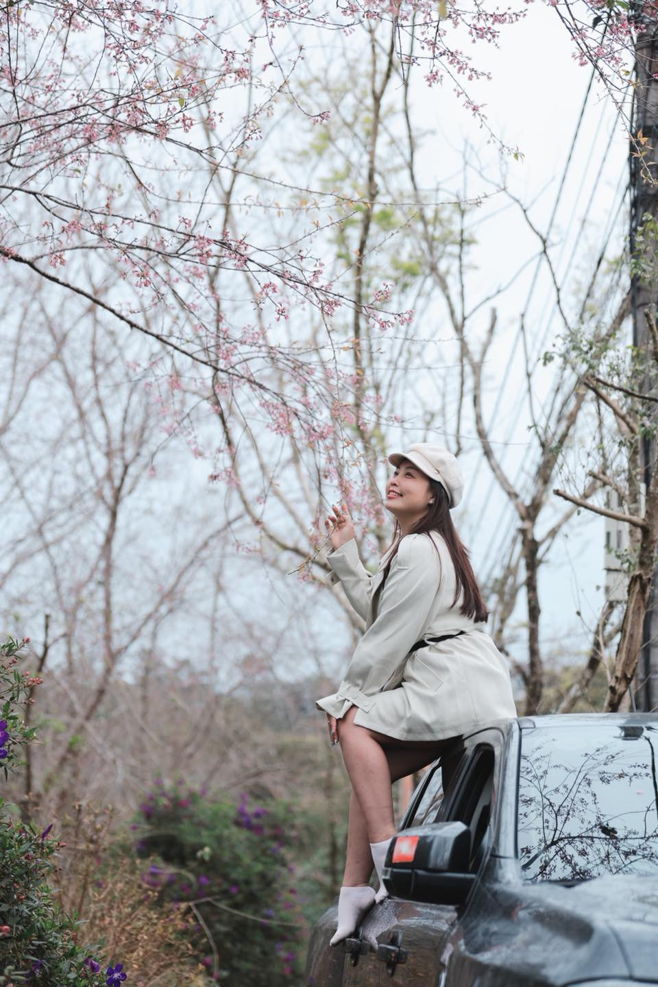 Măng Đen đang vào mùa hoa anh đào hút khách du lịch.