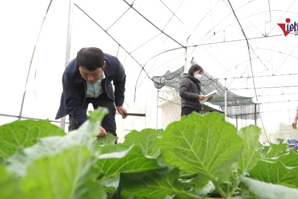 Lai Châu ứng dụng công nghệ thông tin, dự báo tình hình nông sản