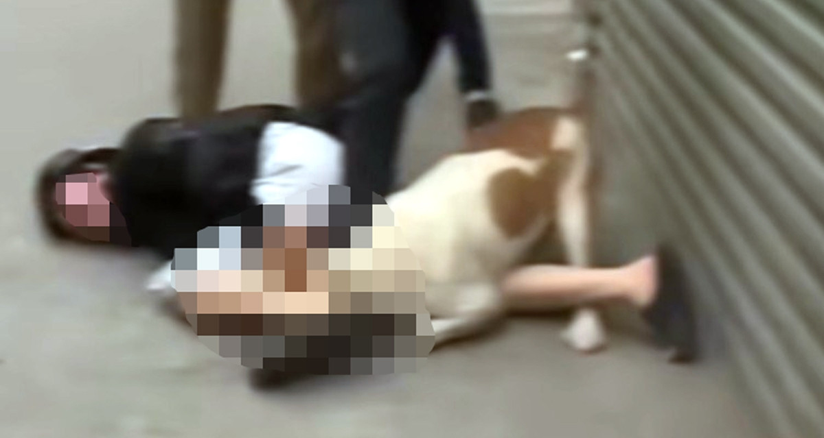 Nạn nhân kể phút kinh hoàng bị bố con hàng xóm ...