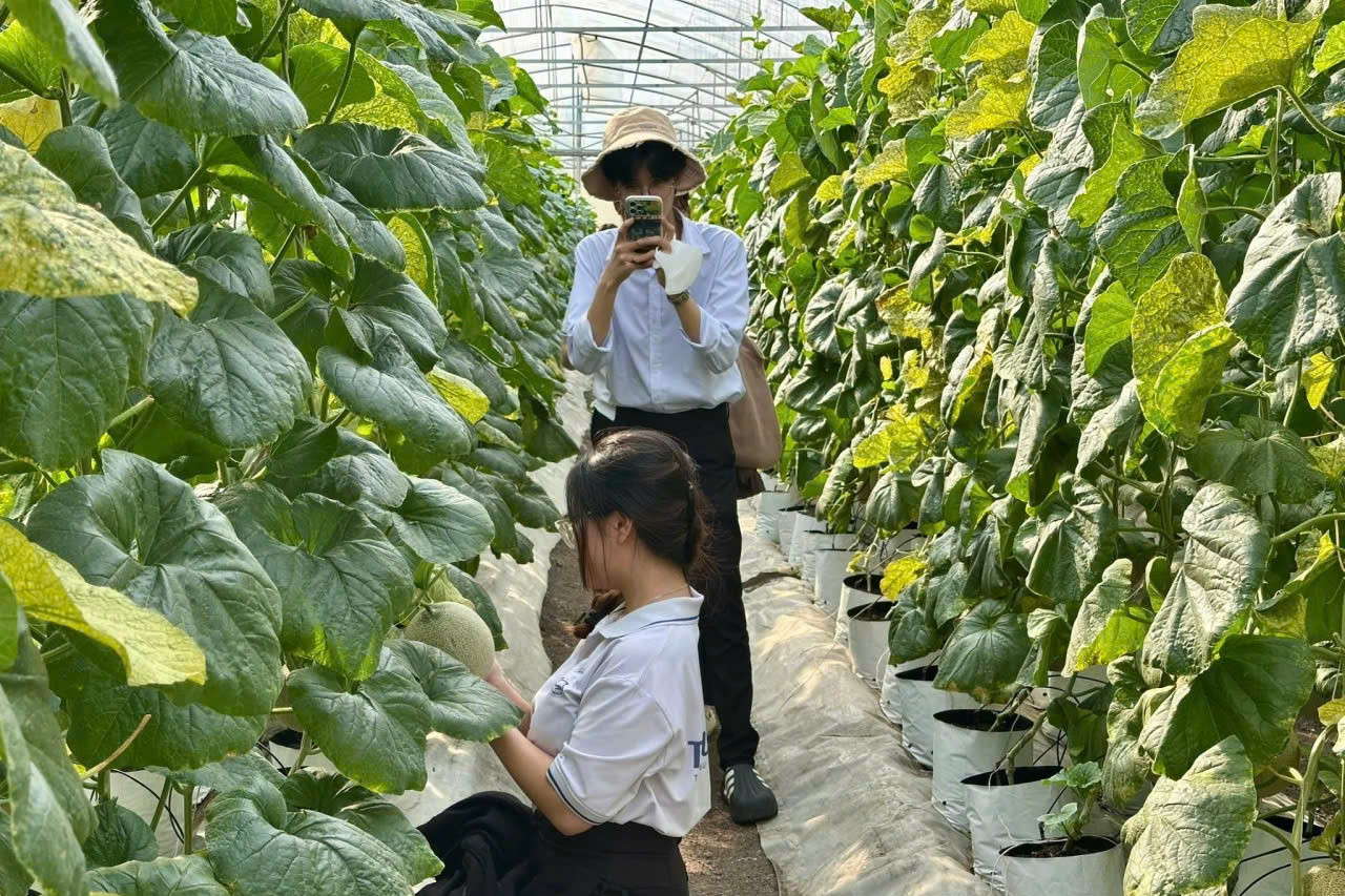  Tuyên truyền thực hiện xây dựng nông thôn mới ở xã An Cư (An Giang) 