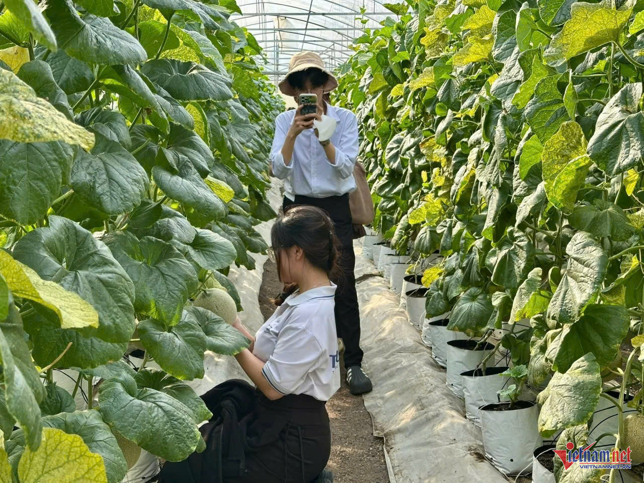 W-anh tin nan giang.jpg