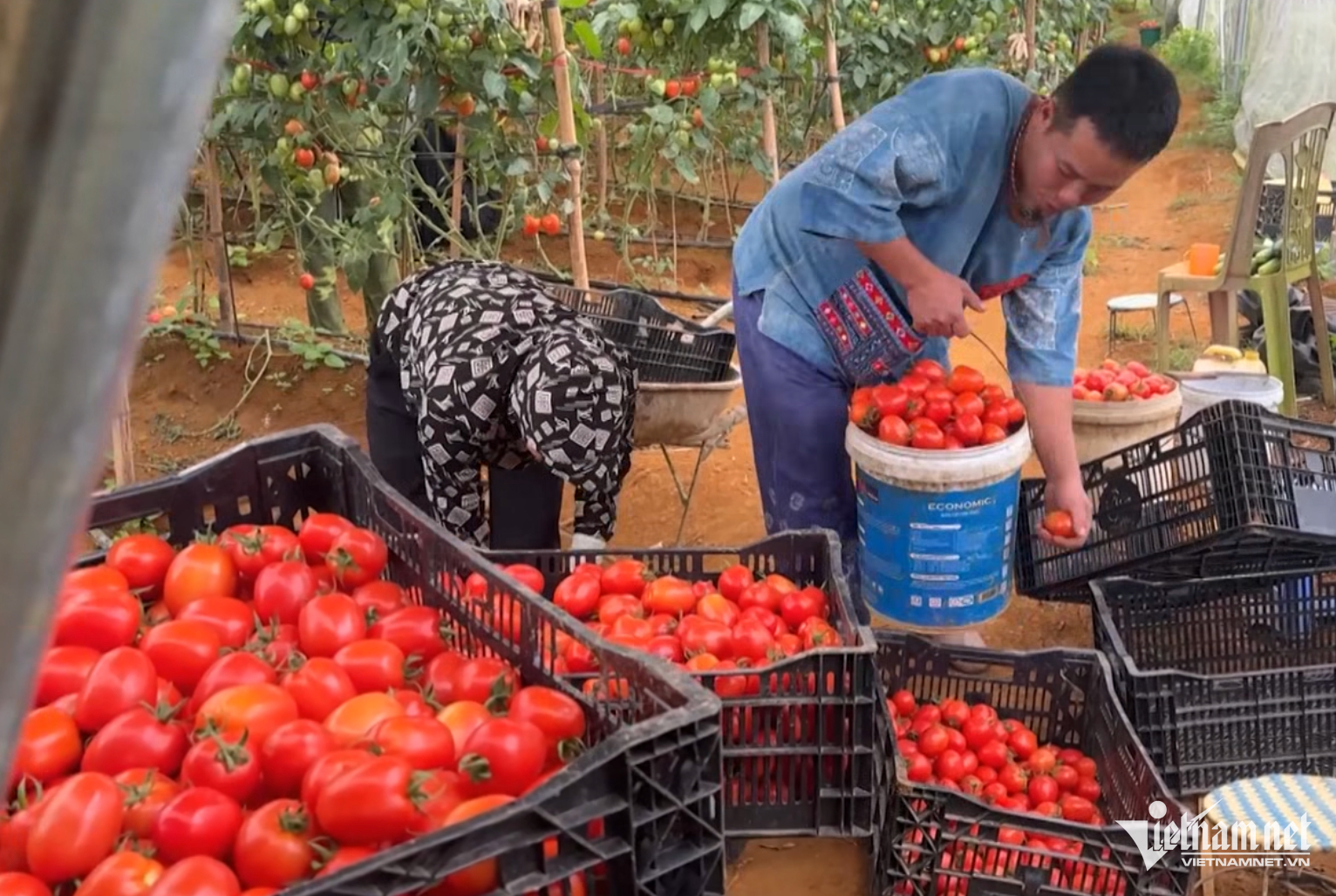 W-sơn la nong san.png