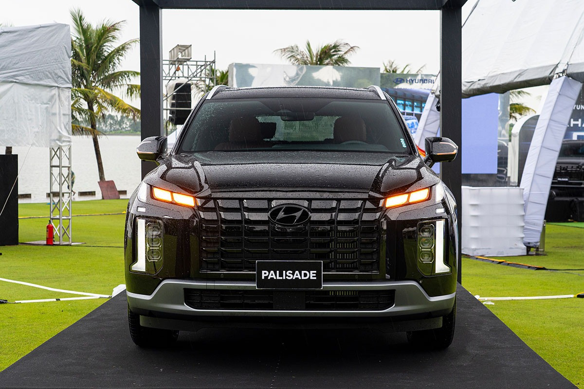 hyundai palisade.jpeg