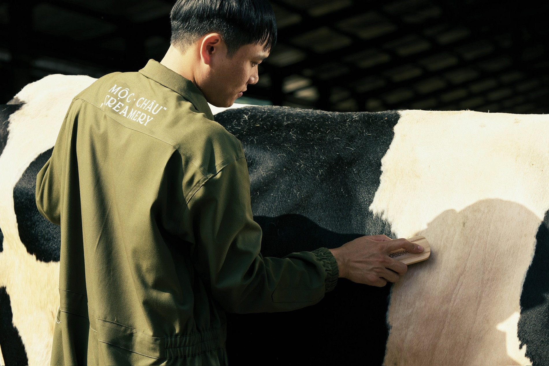 Mộc Châu Creamery - Kế thừa di sản để chuyển mình bền vững