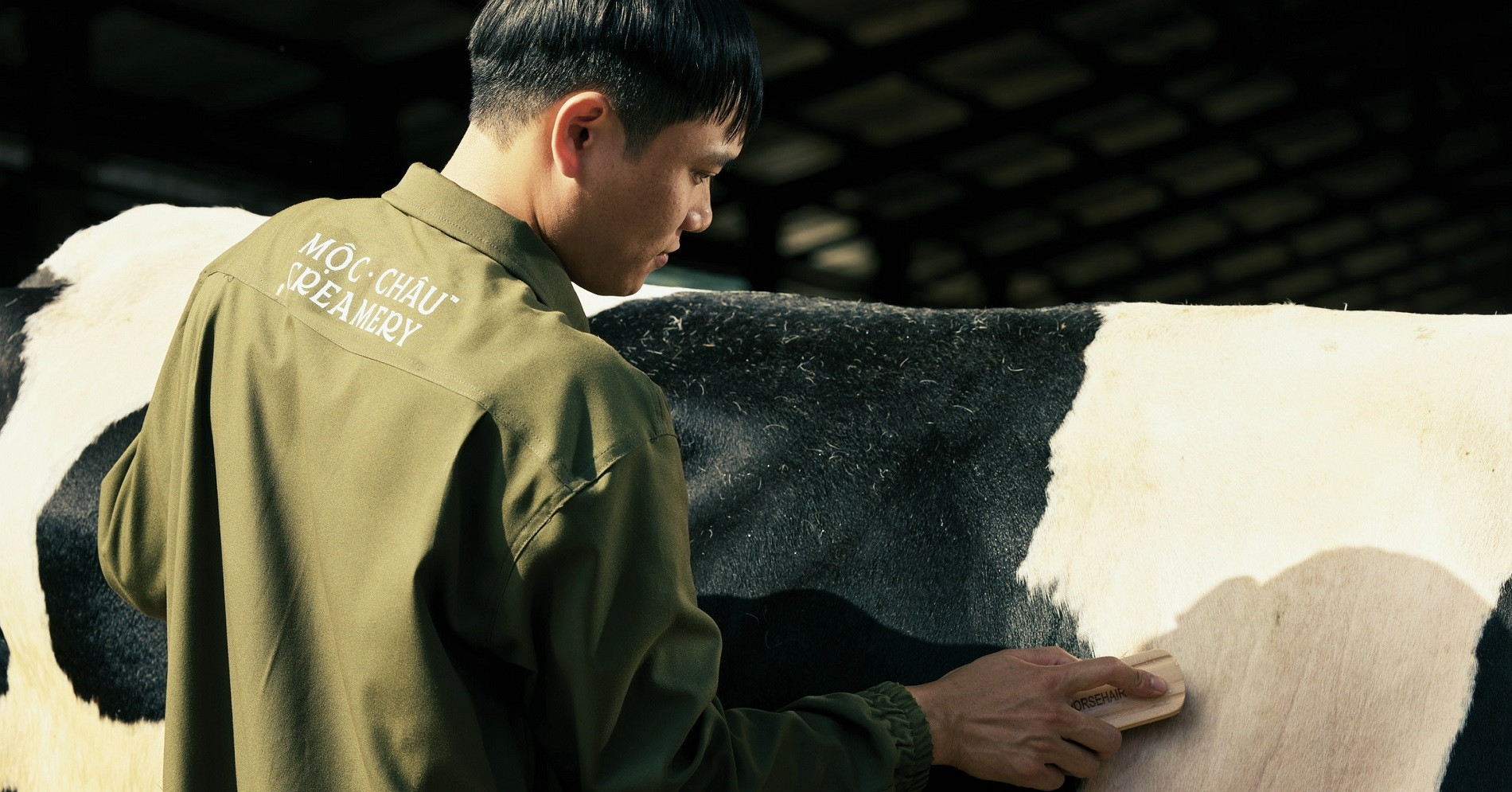 Mộc Châu Creamery - Kế thừa di sản để chuyển mình bền vững