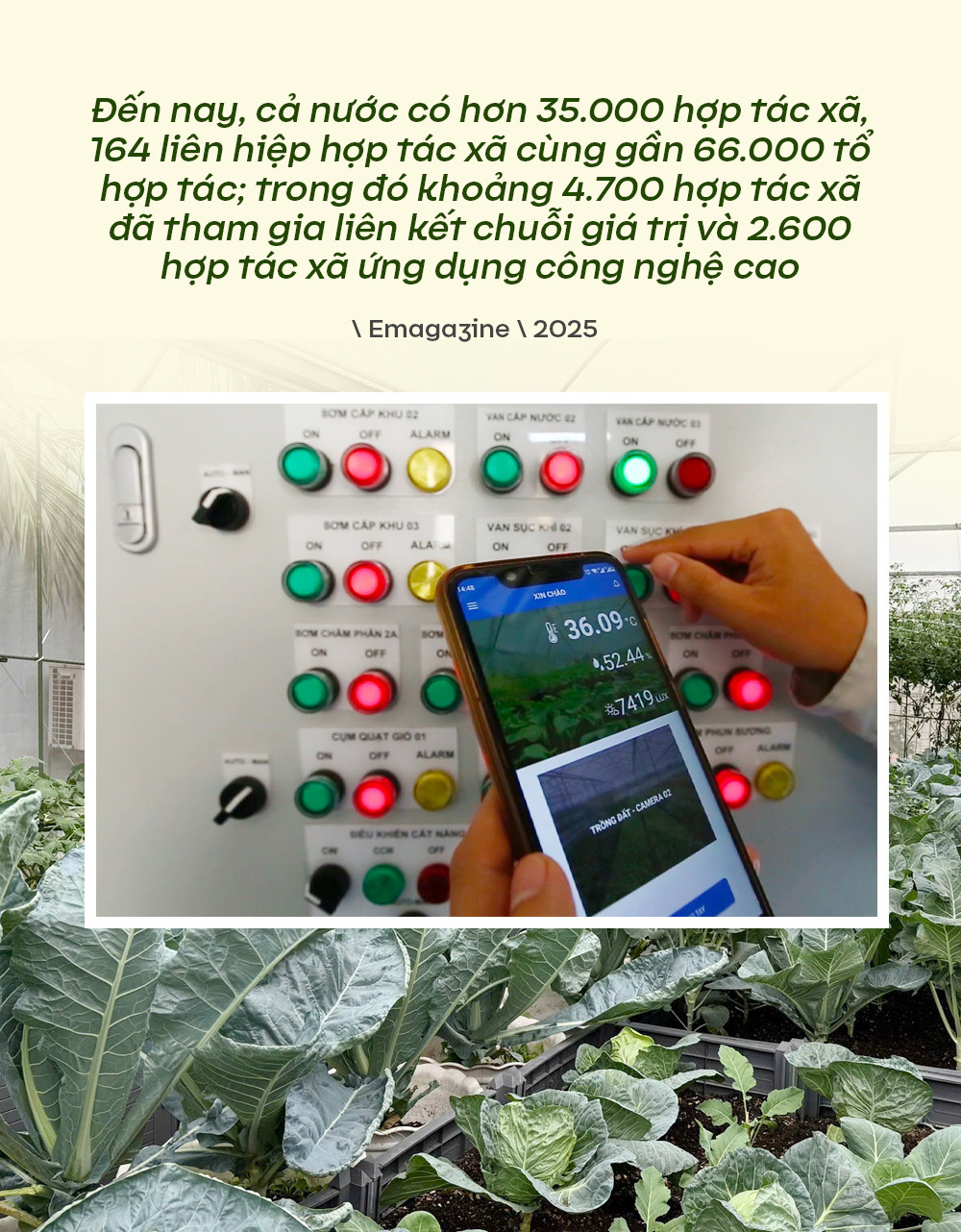 Quote 1 thongtin thiet yeu.jpg