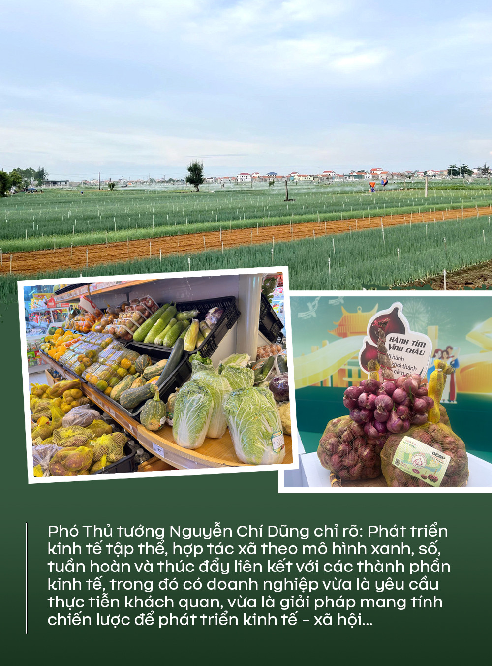 Quote2 thongtin thiet yeu.jpg