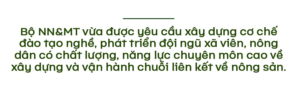Sapo thongtin thiet yeu.jpg