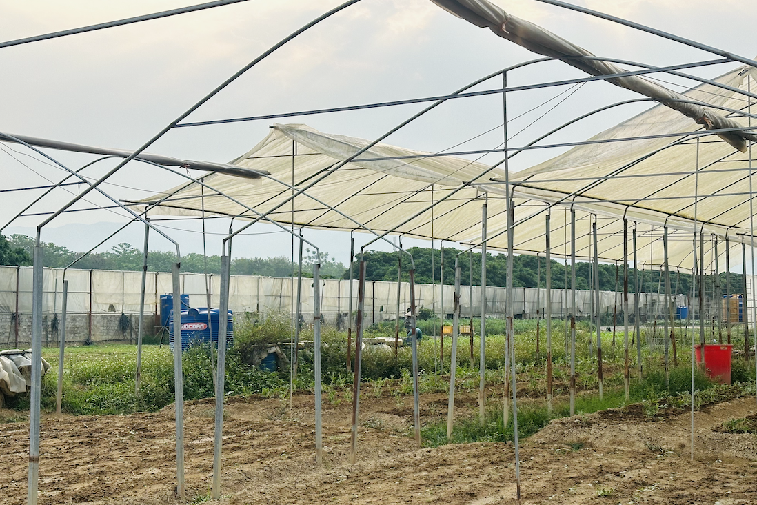 Ứng dụng CNTT, từng bước dẫn dắt sản xuất nông nghiệp theo tín hiệu cung – cầu