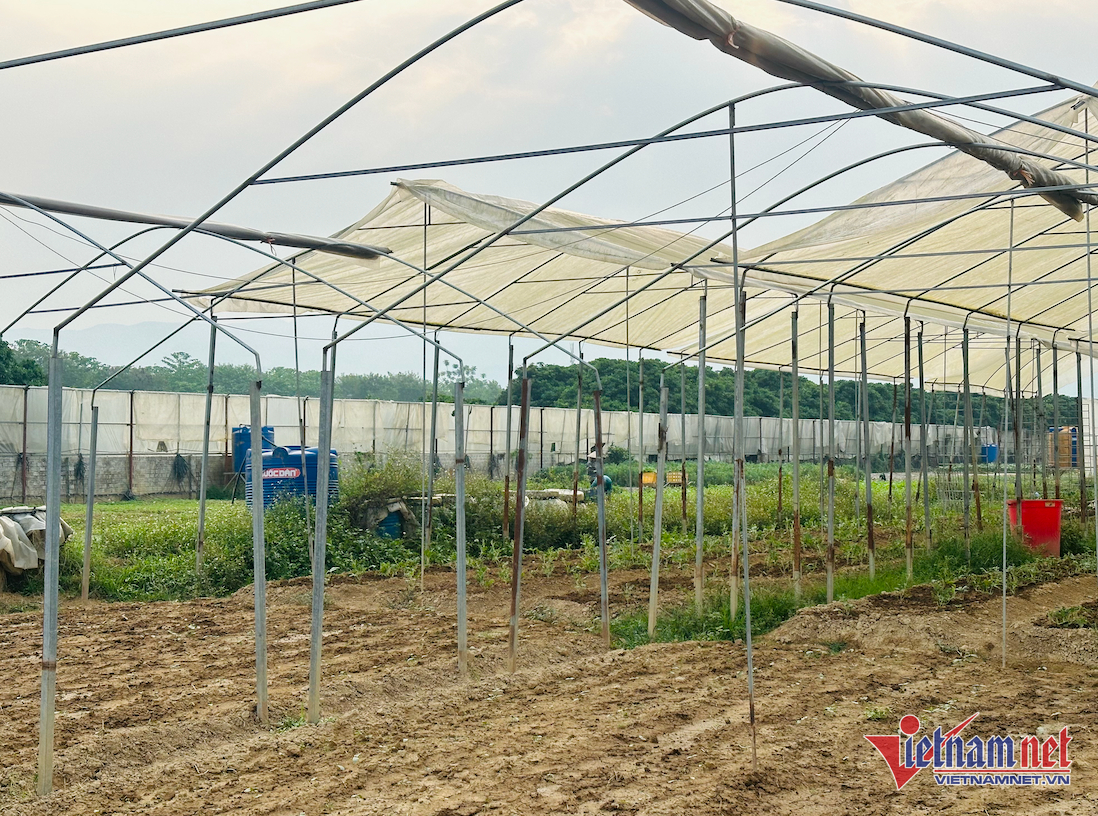 W-Ảnh màn hình 2025 12 21 lúc 22.05.25.png