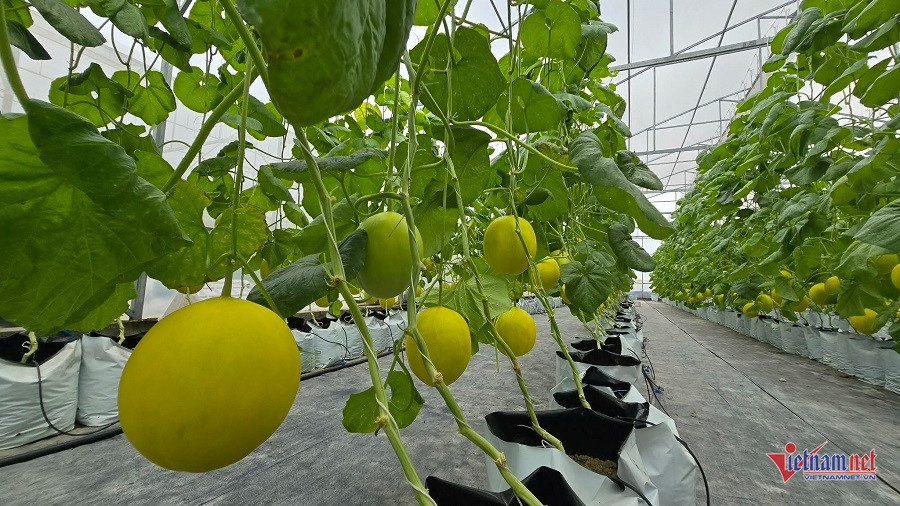 W-d764619b a9ca 4318 9a0b 2e0db87002b1.jpg