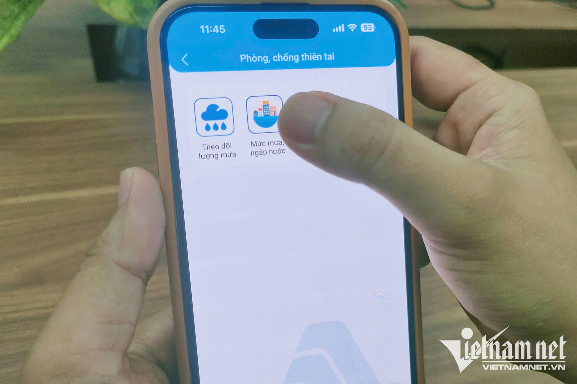 W-du lieu mo thanh pho Da Nang 000.jpg