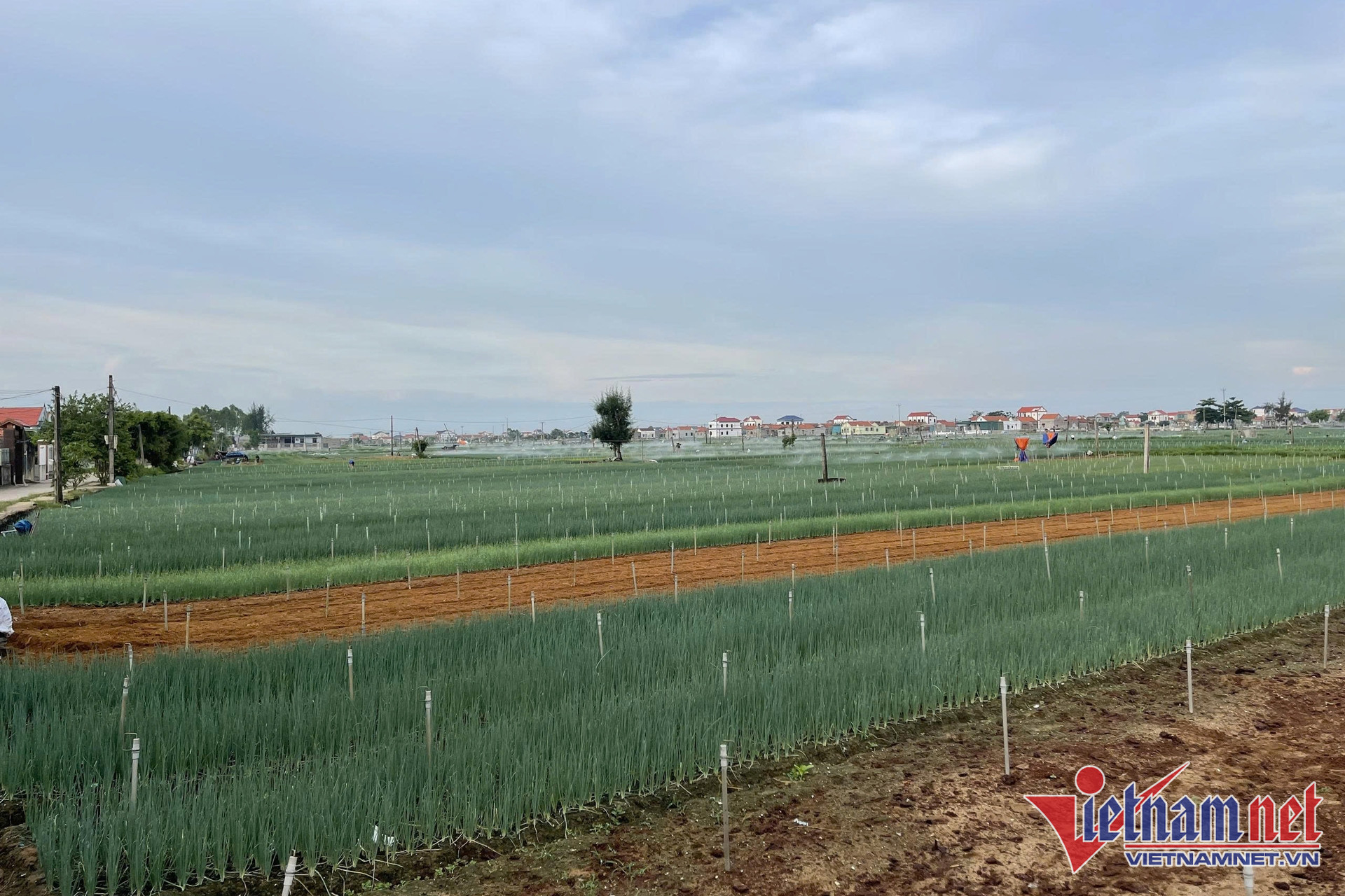 W-nong san Viet Nam 1 3.jpg