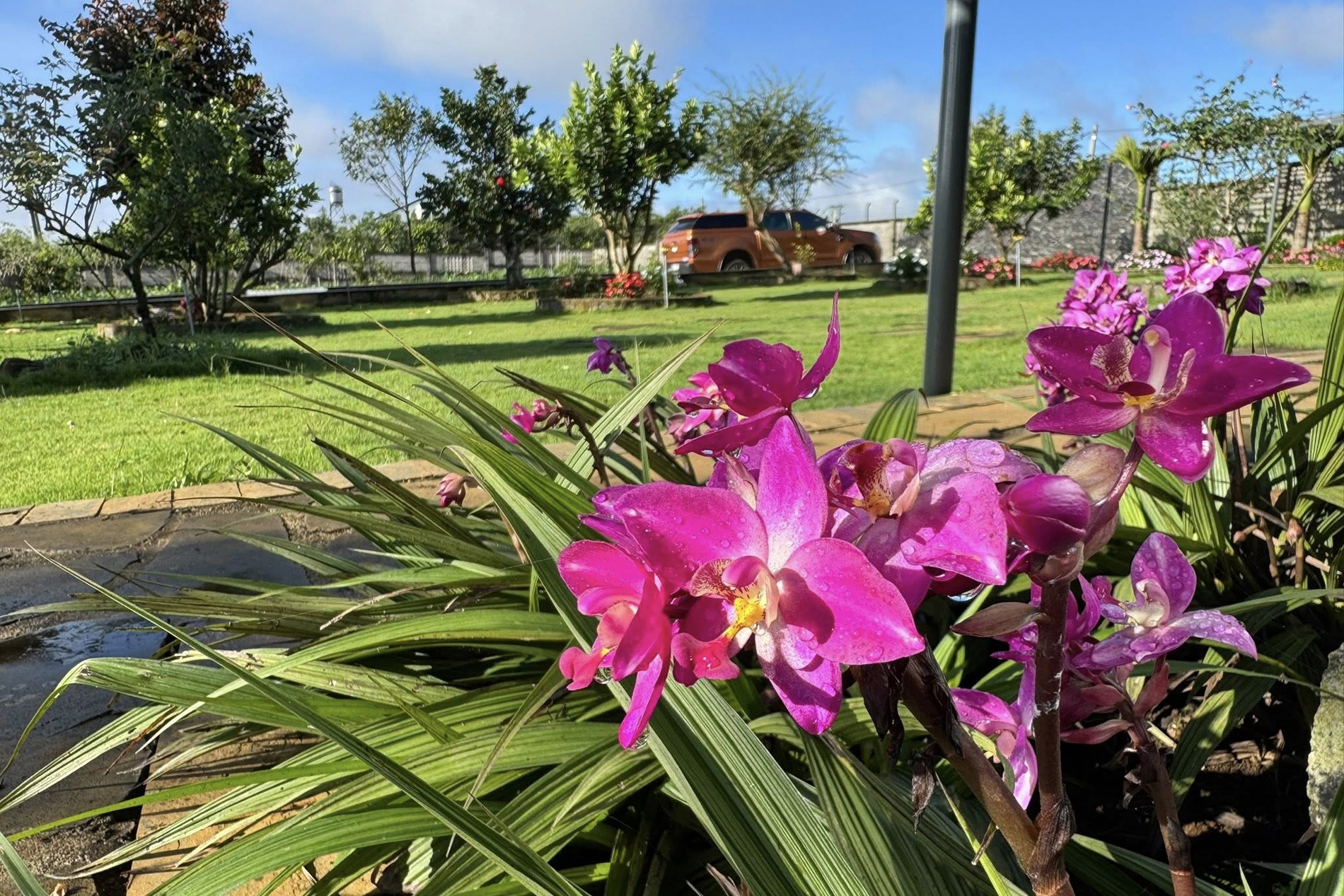  Giám đốc ở TPHCM 'trốn phố', làm nhà vườn 3.000m² xanh mát ở Lâm Đồng 