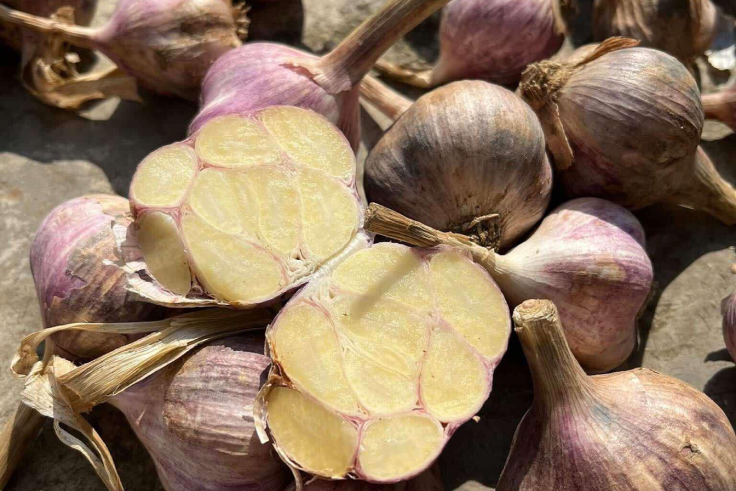 Loại củ được ví như gia vị trường sinh trong góc bếp