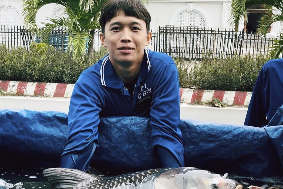 Những chàng trai miền Tây 'giải cứu' hàng chục tấn cá khủng thả về sông Tiền