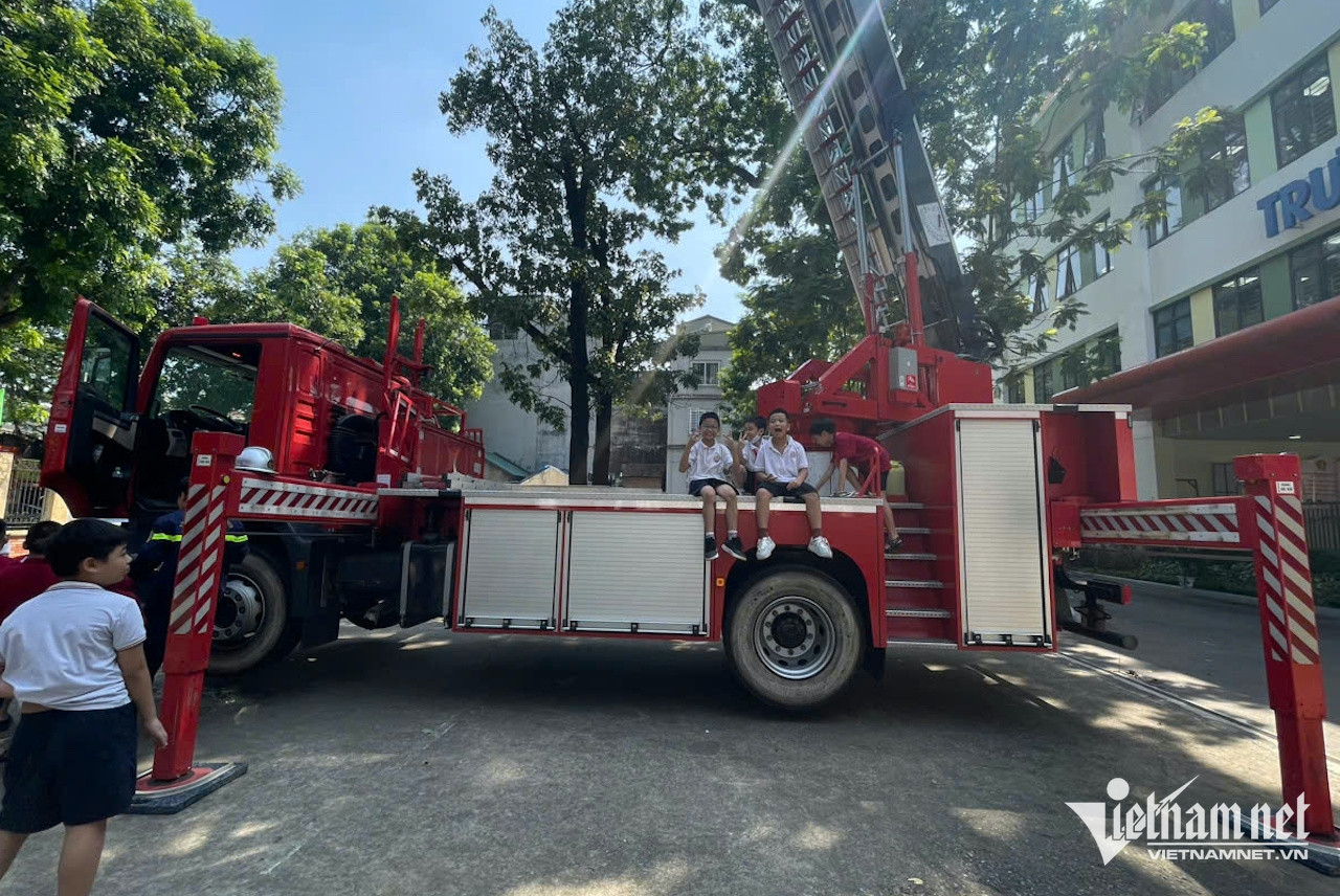 W-023ca6b7 679c 4f03 9f09 f55e1cd4cd84.jpeg