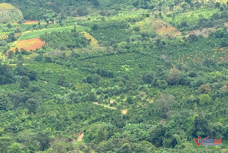 W-Mở lối thoát nghèo 3.jpg