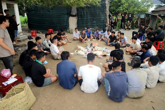 Bản tin chiều ngày 29/12: Triệt phá sới bạc khu đất hoang, tạm giữ 35 đối tượng