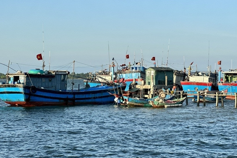 Chống khai thác IUU: Việt Nam nỗ lực thực thi cam kết quốc tế về giữ biển xanh