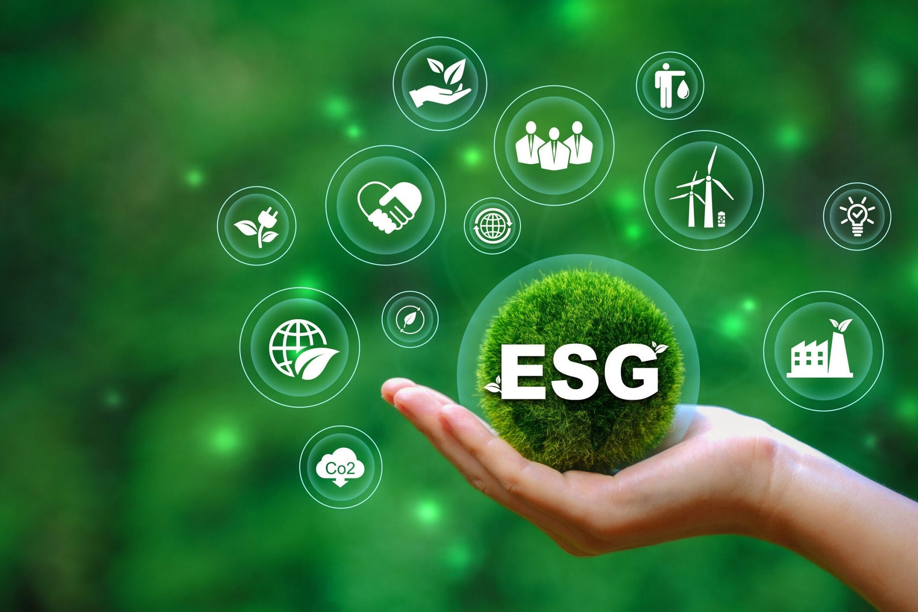 Cơ hội cho doanh nghiệp Việt trong xu hướng ESG và chuyển đổi xanh toàn cầu