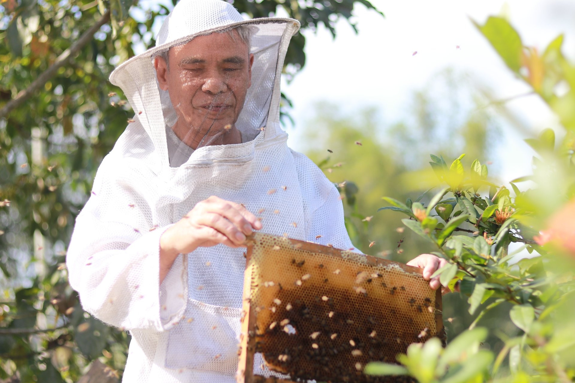  Nghị lực phi thường của người đàn ông mù loà nuôi ong giữa núi rừng Hà Tĩnh 