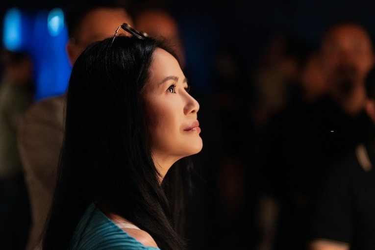 Vụ show bị hủy: Hồng Nhung chưa nhận 1 đồng tiền nào, khán giả báo công an