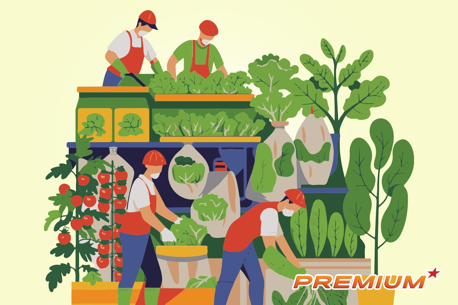  Xuất khẩu rau quả năm 2025 lập đỉnh lịch sử, ước đạt 8,5 tỷ USD 