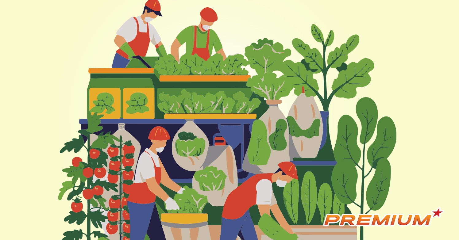 Xuất khẩu rau quả năm 2025 lập đỉnh lịch sử, ước đạt 8,5 tỷ USD