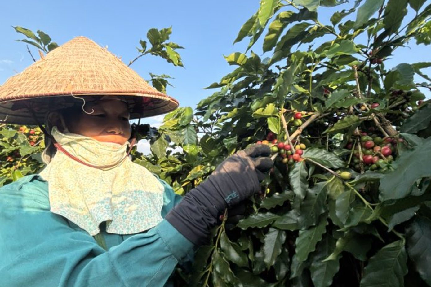 Điện Biên định hướng ưu tiên trong xây dựng nông thôn mới nâng cao