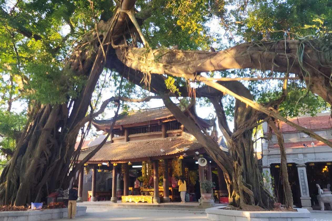 Hành trình tâm linh trong lòng Phố Hiến