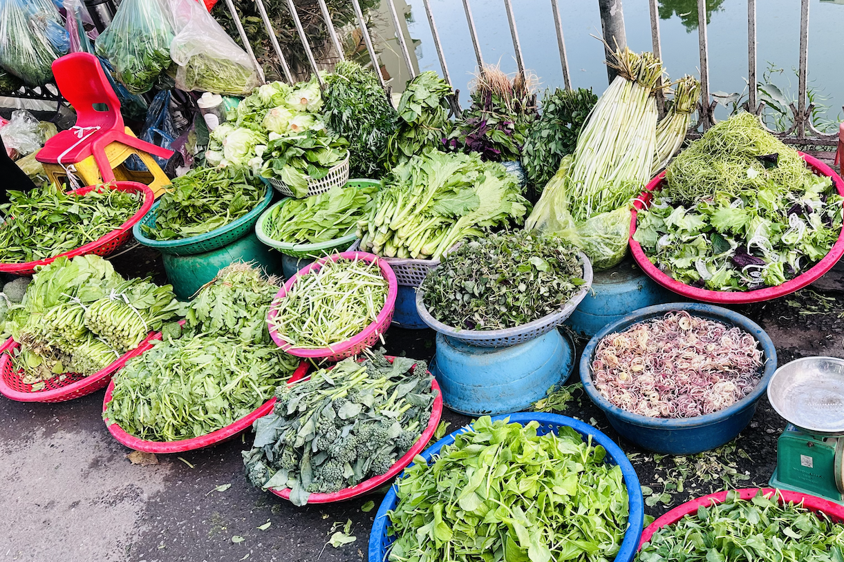 Giá rau xanh ở chợ giảm mạnh: Su hào 12.000 đồng/củ, cải mơ 50.000 đồng/kg