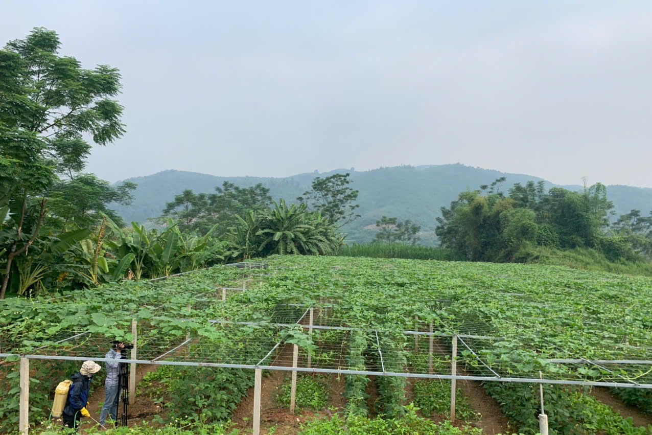 Quảng Ninh đặt mục tiêu 7 xã đạt chuẩn nông thôn mới nâng cao