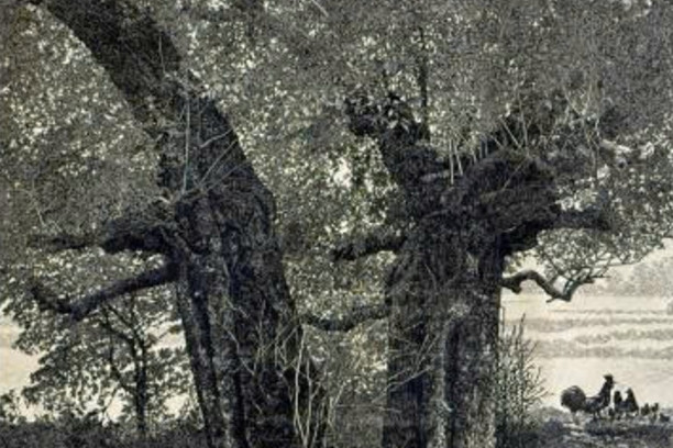 Tạo tác di sản nghìn năm, thầy giáo mỹ thuật giành giải 75 triệu đồng