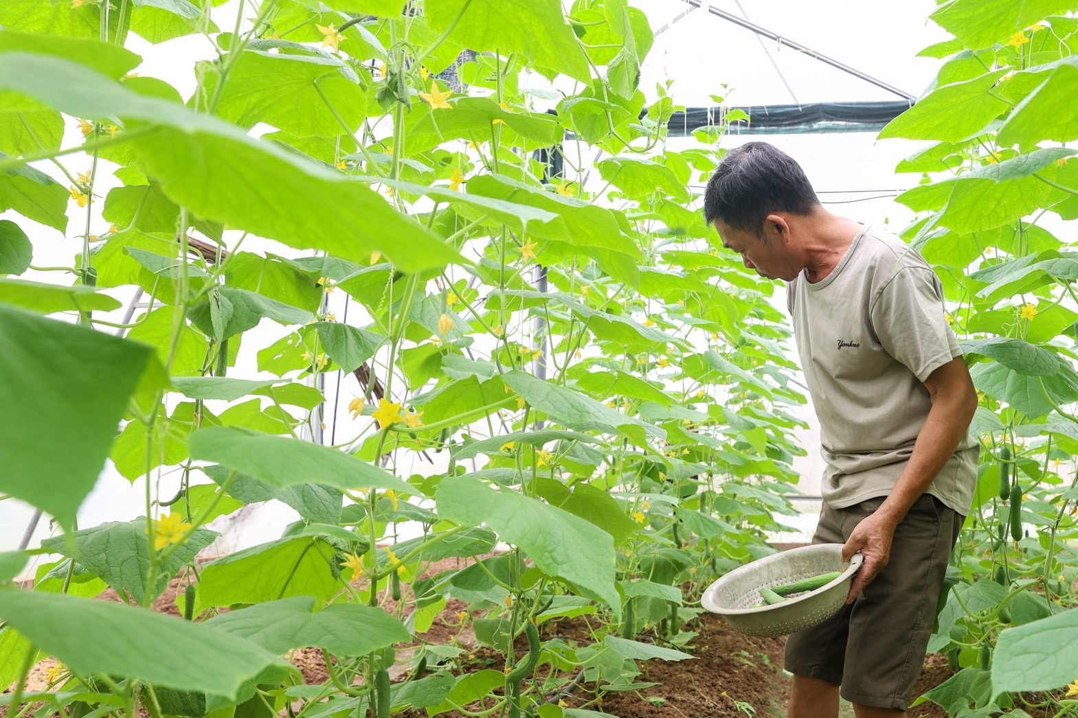 Thái Nguyên chủ động chuẩn bị cho Bộ tiêu chí nông thôn mới 2026 - 2030