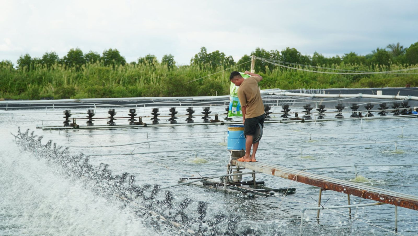 808e121b ad56 4a5b 9a5e 5ddfecb18bd3 (1).jpg