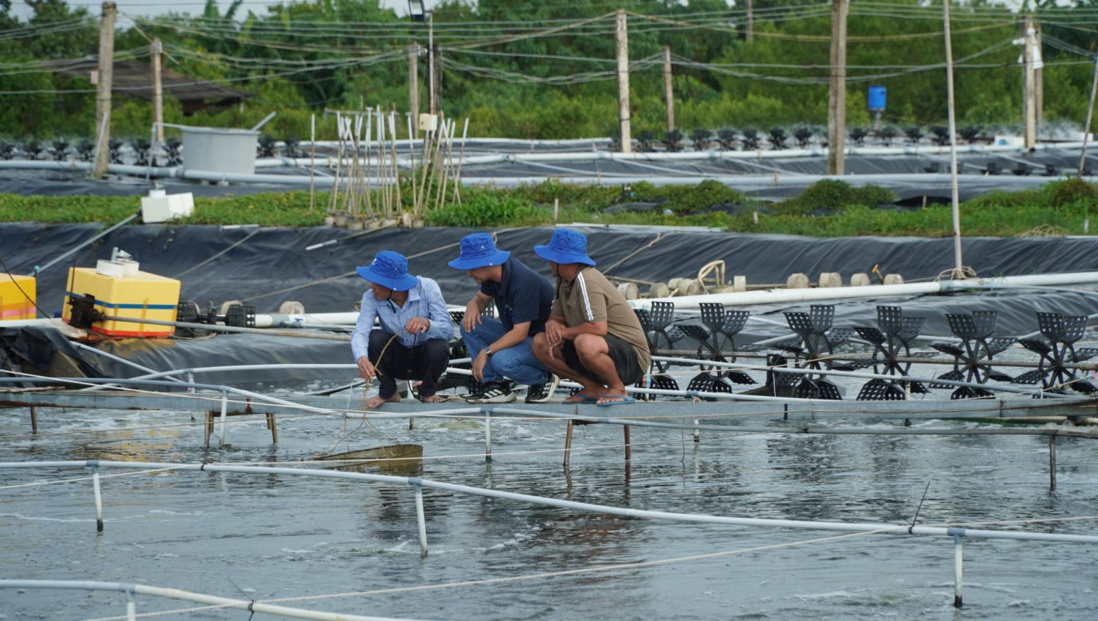 86a12893 432f 4664 9857 4d4748238bb8 (1).jpg