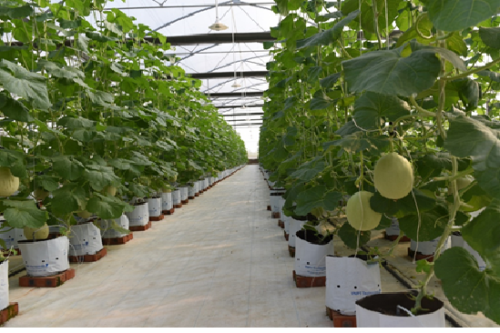 Chuyển đổi số ngành tài nguyên và môi trường trong kỷ nguyên dữ liệu