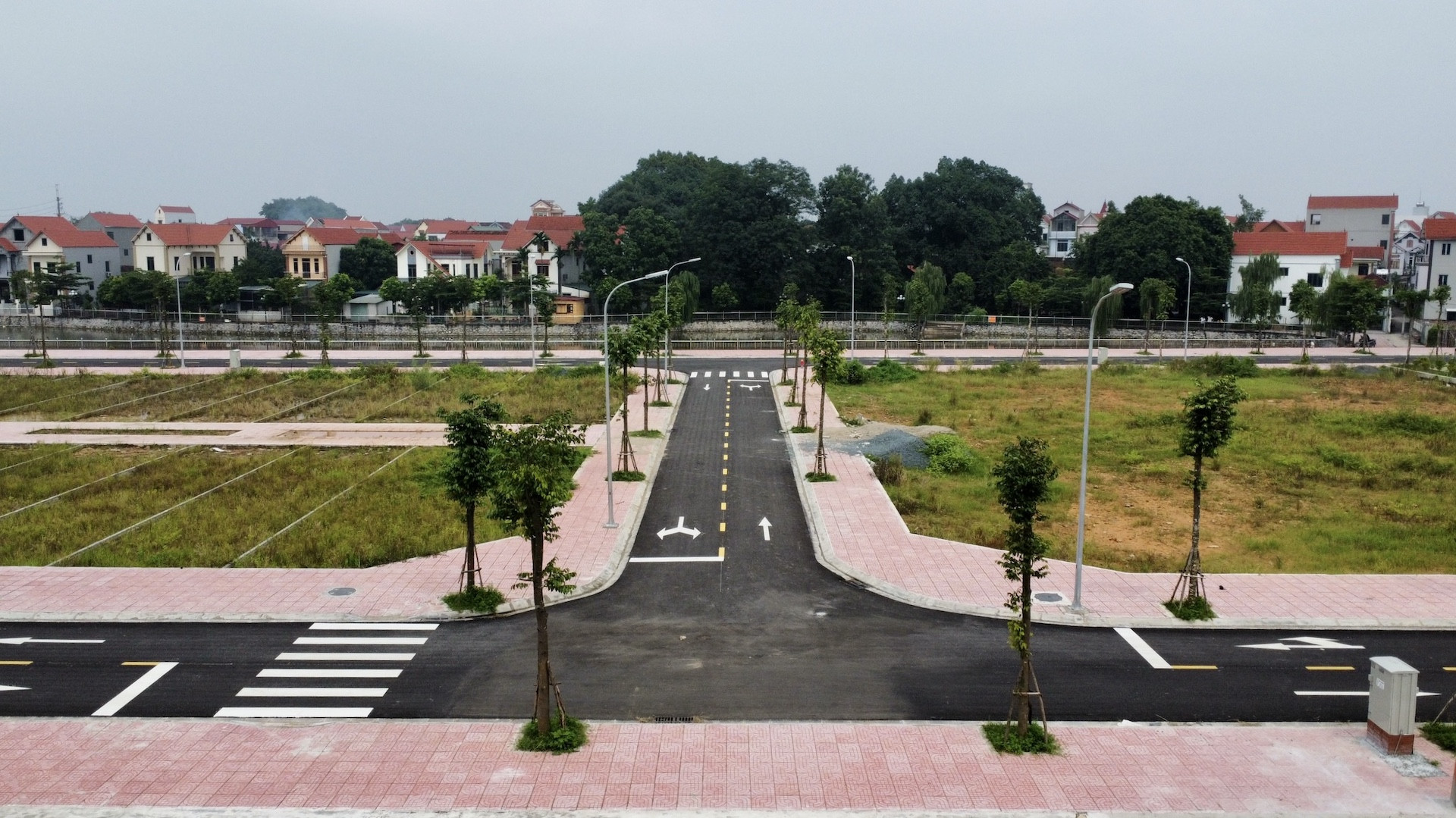 dau gia dat vietnamnet 7.jpg