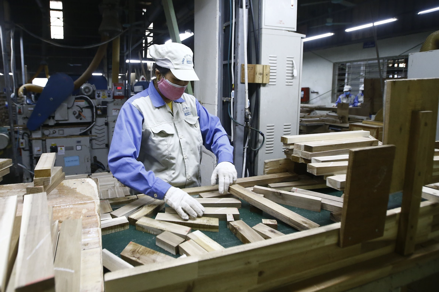 Đưa hàng lâm sản sang hơn 160 quốc gia và vùng lãnh thổ, DN 'ôm' về 18,5 tỷ USD