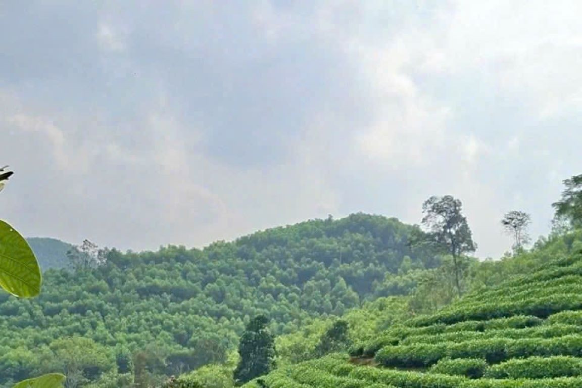 Liên Sơn xây dựng thôn hạnh phúc gắn kết phát triển kinh tế và gìn giữ văn hóa