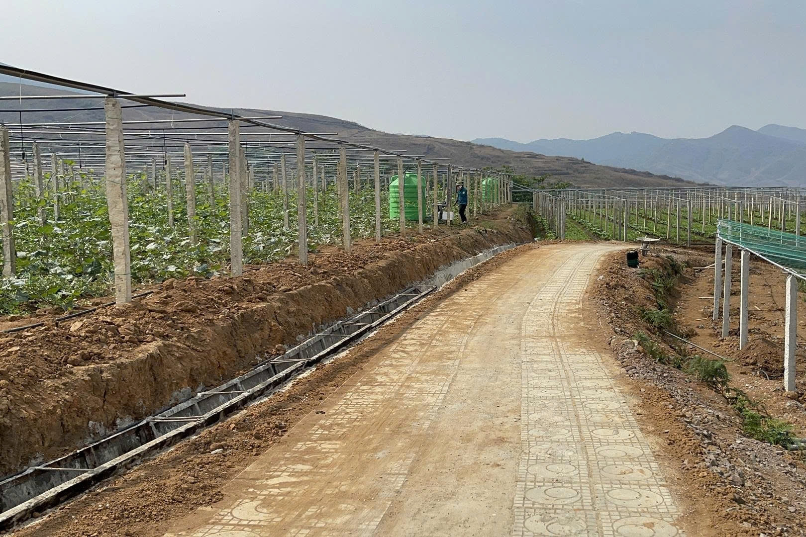 Sơn Lương phát huy sức mạnh đoàn kết, lan toả phong trào hiến đất mở đường