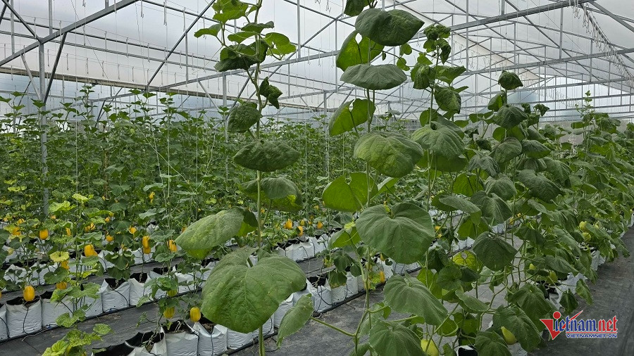 W-0e4d465a 1709 4248 8371 13897cbef9a7.jpg