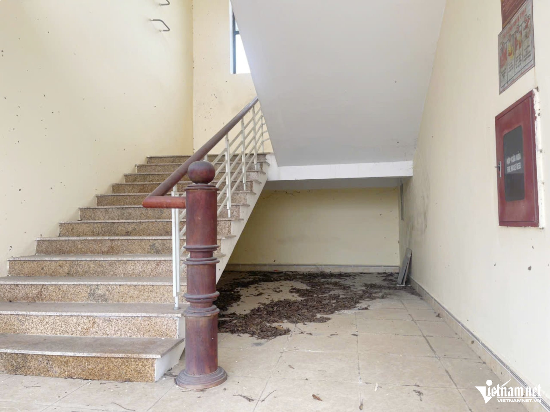 W-a trạm kiểm dịch7.jpg