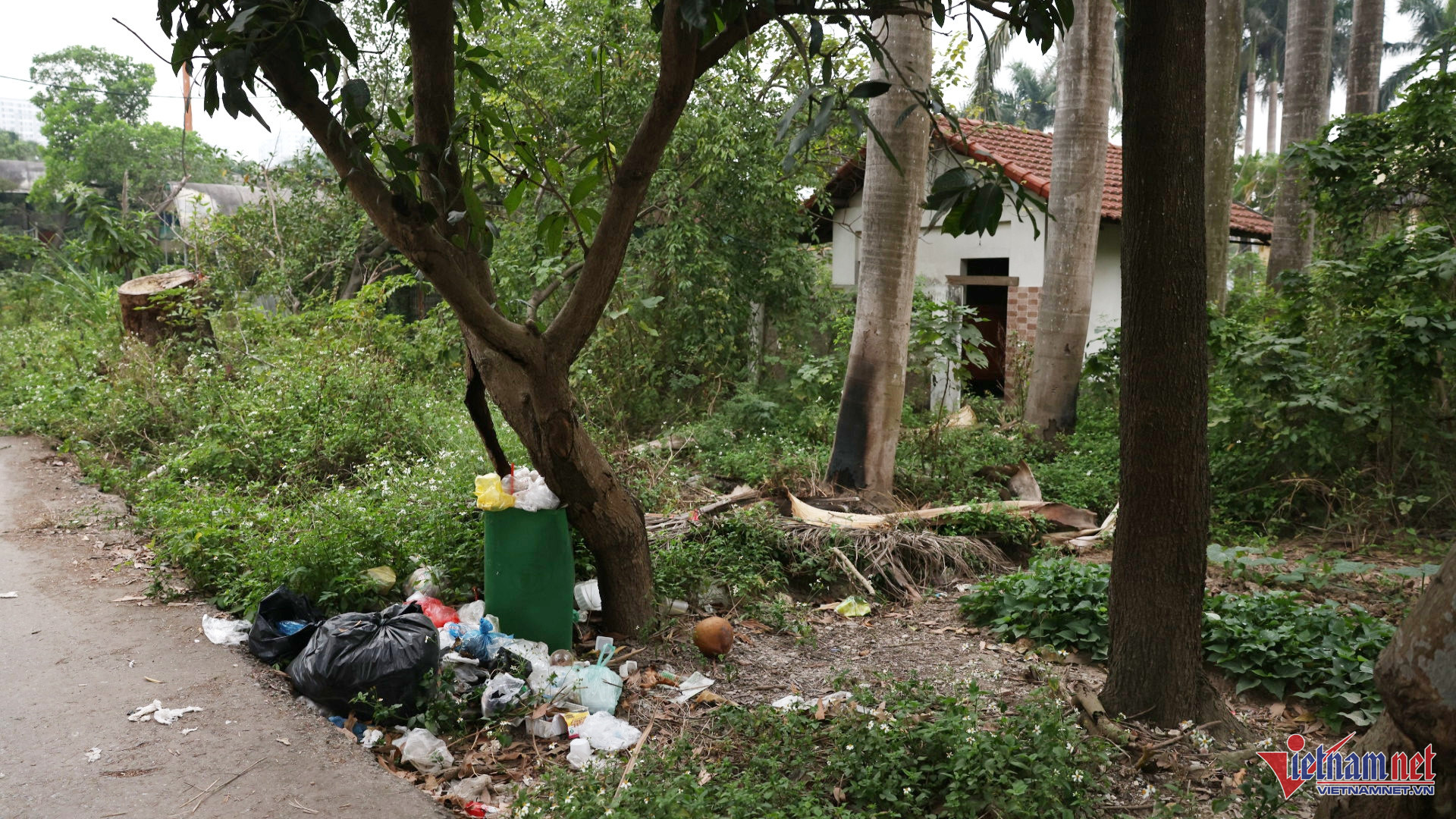 W-cong vien vinh hung 5.jpg