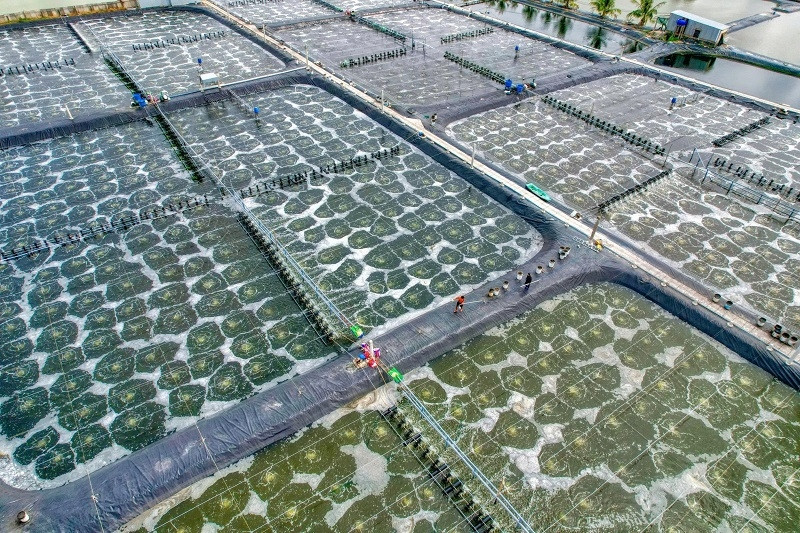 Kinh tế tuần hoàn - Giải pháp cho phát triển bền vững