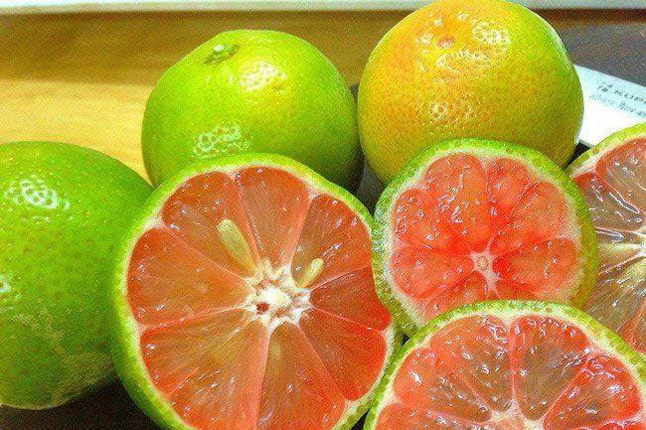 Loại quả bổ sung vitamin C, giúp giảm căng thẳng hơn cả tinh dầu oải hương