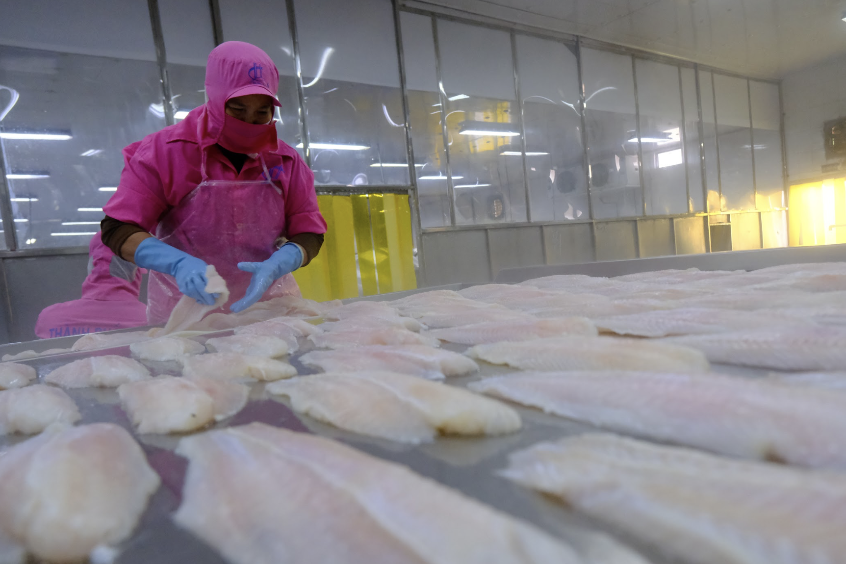 Xuất khẩu bội thu 70 tỷ USD và những con số kỷ lục của ngành nông nghiệp